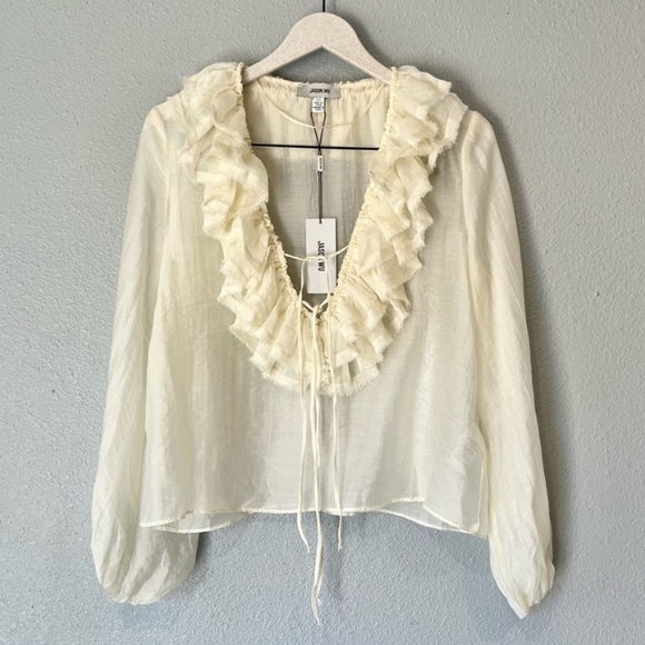 NWT Jason Wu Plunge V Neck Ruffle Victorian Gauzy  Ivory Long Sleeve  Top Sz S - Picture 5 of 12